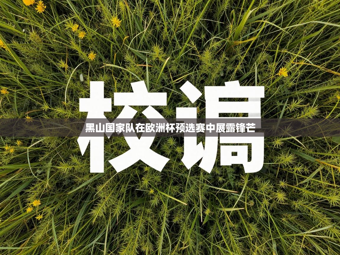 黑山国家队在欧洲杯预选赛中展露锋芒 第1张