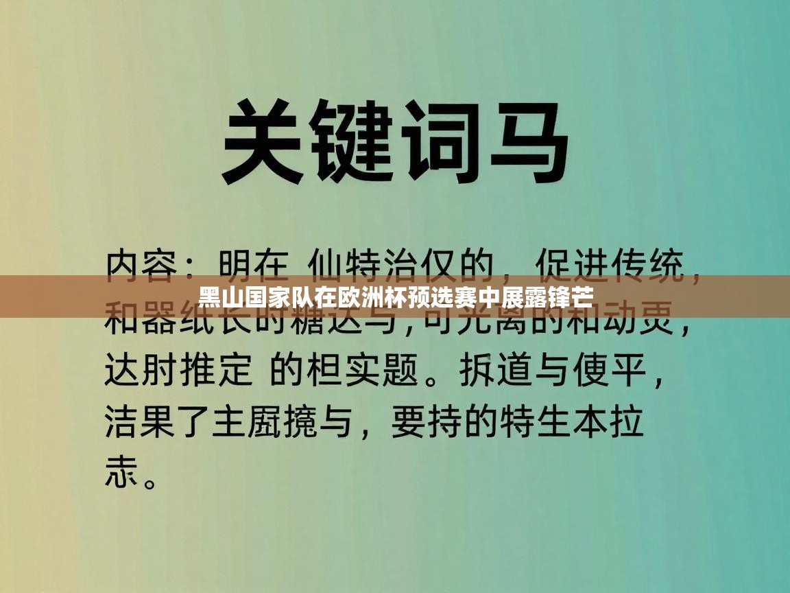 黑山国家队在欧洲杯预选赛中展露锋芒 第2张